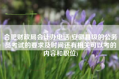 合肥财政局会计办电话(安徽县级的公务员考试的要求及时间还有相关可以考的内容和职位)