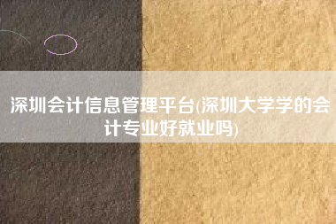 深圳会计信息管理平台(深圳大学学的会计专业好就业吗)