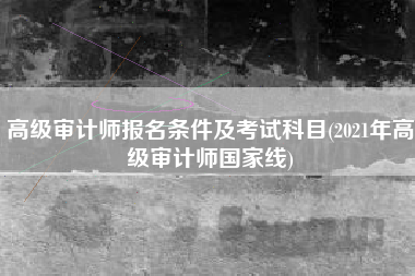 高级审计师报名条件及考试科目(2021年高级审计师国家线)