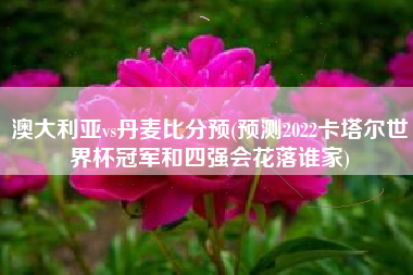 澳大利亚vs丹麦比分预(预测2022卡塔尔世界杯冠军和四强会花落谁家)