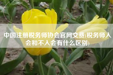 中国注册税务师协会官网交费(税务师入会和不入会有什么区别)