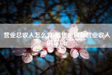 营业总收入怎么算(销售金额和营业收入的区别)
