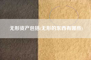 无形资产包括(无形的东西有哪些)