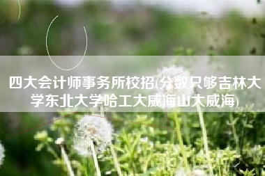 四大会计师事务所校招(分数只够吉林大学东北大学哈工大威海山大威海)