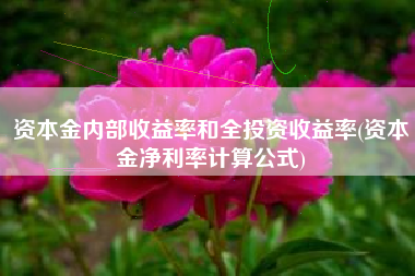 资本金内部收益率和全投资收益率(资本金净利率计算公式)
