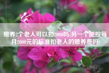 详细阅读:赡养2个老人可以扣2000吗(另一个能按每月2000元的标准扣老人的赡养费吗) 赡养2个老人可以扣2000吗(另一个能按每月2000元的标准扣老人的赡养费吗)