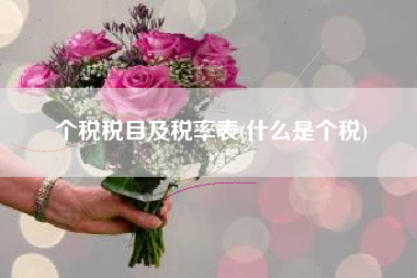 个税税目及税率表(什么是个税)