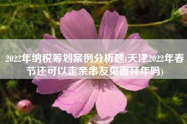 2022年纳税筹划案例分析题(天津2022年春节还可以走亲串友见面拜年吗)
