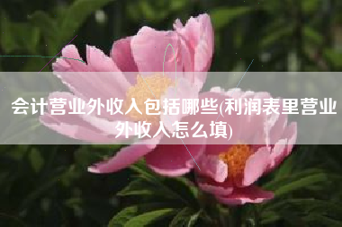 会计营业外收入包括哪些(利润表里营业外收入怎么填)