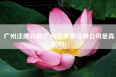 广州注册公司(广州市免费注册公司是真的吗)