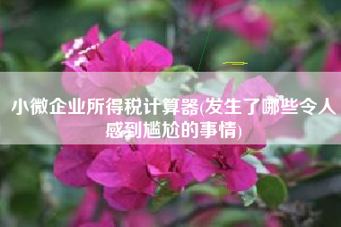 详细阅读:小微企业所得税计算器(发生了哪些令人感到尴尬的事情) 小微企业所得税计算器(发生了哪些令人感到尴尬的事情)