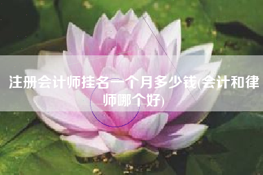 注册会计师挂名一个月多少钱(会计和律师哪个好)