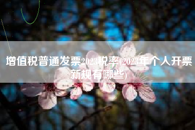 增值税普通发票2023税率(2023年个人开票新规有哪些)