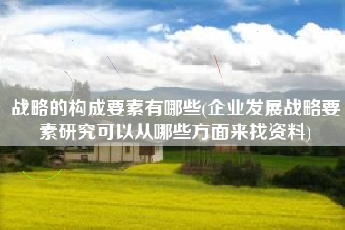 战略的构成要素有哪些(企业发展战略要素研究可以从哪些方面来找资料)