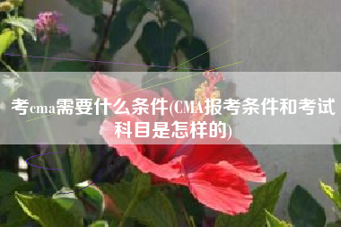 考cma需要什么条件(CMA报考条件和考试科目是怎样的)