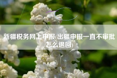 新疆税务网上申报(出疆申报一直不审批怎么退回)