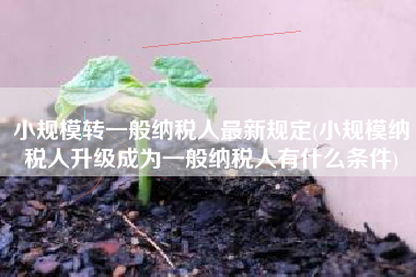 小规模转一般纳税人最新规定(小规模纳税人升级成为一般纳税人有什么条件)