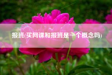 报班(买网课和报班是一个概念吗)
