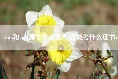 cima和cma哪个含金量大(还能考什么证书)