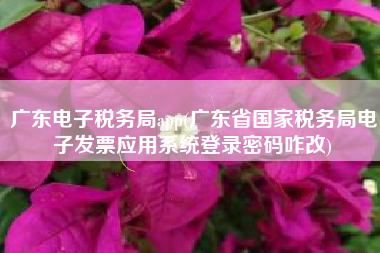 广东电子税务局app(广东省国家税务局电子发票应用系统登录密码咋改)