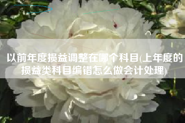 详细阅读:以前年度损益调整在哪个科目(上年度的损益类科目编错怎么做会计处理) 以前年度损益调整在哪个科目(上年度的损益类科目编错怎么做会计处理)