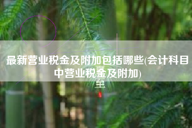 详细阅读:最新营业税金及附加包括哪些(会计科目中营业税金及附加) 最新营业税金及附加包括哪些(会计科目中营业税金及附加)