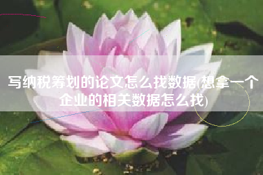 写纳税筹划的论文怎么找数据(想拿一个企业的相关数据怎么找)