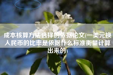 成本核算方法选择的依据论文(一美元换人民币的比率是依据什么标准衡量计算出来的)