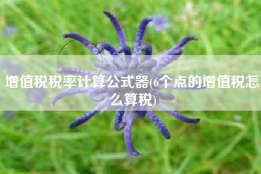 增值税税率计算公式器(6个点的增值税怎么算税)
