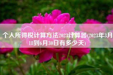 个人所得税计算方法2023计算器(2023年3月18到6月30日有多少天)