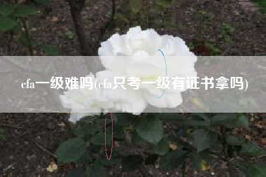 cfa一级难吗(cfa只考一级有证书拿吗)