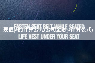 现值pv的计算公式(公司金融pv计算公式)