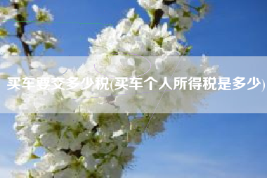 买车要交多少税(买车个人所得税是多少)