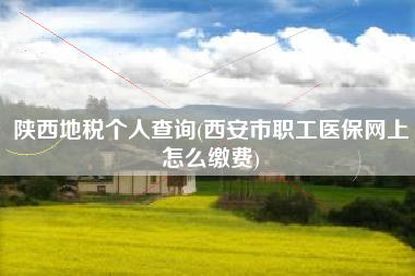 详细阅读:陕西地税个人查询(西安市职工医保网上怎么缴费) 陕西地税个人查询(西安市职工医保网上怎么缴费)