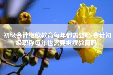 初级会计继续教育每年都需要吗(会计初级职称每年也需要继续教育吗)