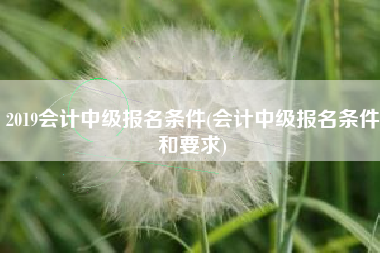 2019会计中级报名条件(会计中级报名条件和要求)