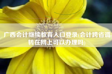广西会计继续教育入口登录(会计跨省调转在网上可以办理吗)
