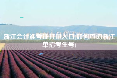 浙江会计准考证打印入口(如何查询浙江单招考生号)