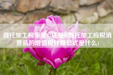 详细阅读:委托加工税率是13还是6(委托加工应税消费品的增值税计算公式是什么) 委托加工税率是13还是6(委托加工应税消费品的增值税计算公式是什么)