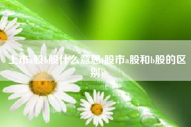 详细阅读:上市a股b股什么意思(股市a股和b股的区别) 上市a股b股什么意思(股市a股和b股的区别)