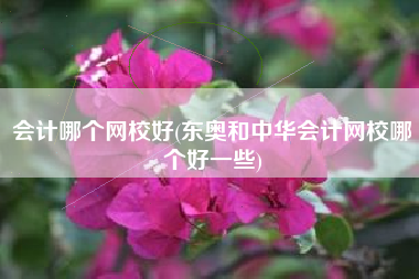 详细阅读:会计哪个网校好(东奥和中华会计网校哪个好一些) 会计哪个网校好(东奥和中华会计网校哪个好一些)