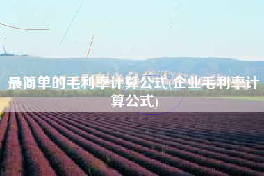 最简单的毛利率计算公式(企业毛利率计算公式)