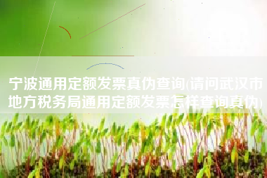 宁波通用定额发票真伪查询(请问武汉市地方税务局通用定额发票怎样查询真伪)