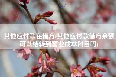 其他应付款在借方(其他应付款借方余额可以结转到营业成本科目吗)