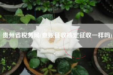 贵州省税务局(查账征收核定征收一样吗)