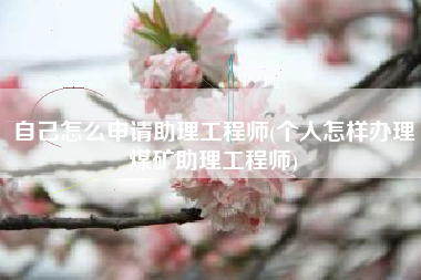 自己怎么申请助理工程师(个人怎样办理煤矿助理工程师)