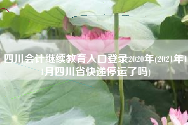 四川会计继续教育入口登录2020年(2021年11月四川省快递停运了吗)