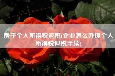 详细阅读:房子个人所得税退税(企业怎么办理个人所得税退税手续) 房子个人所得税退税(企业怎么办理个人所得税退税手续)