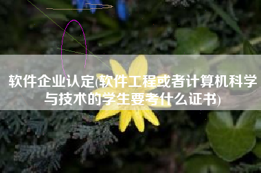 软件企业认定(软件工程或者计算机科学与技术的学生要考什么证书)