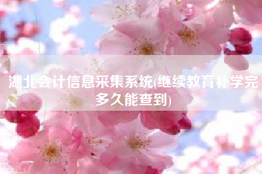 湖北会计信息采集系统(继续教育补学完多久能查到)